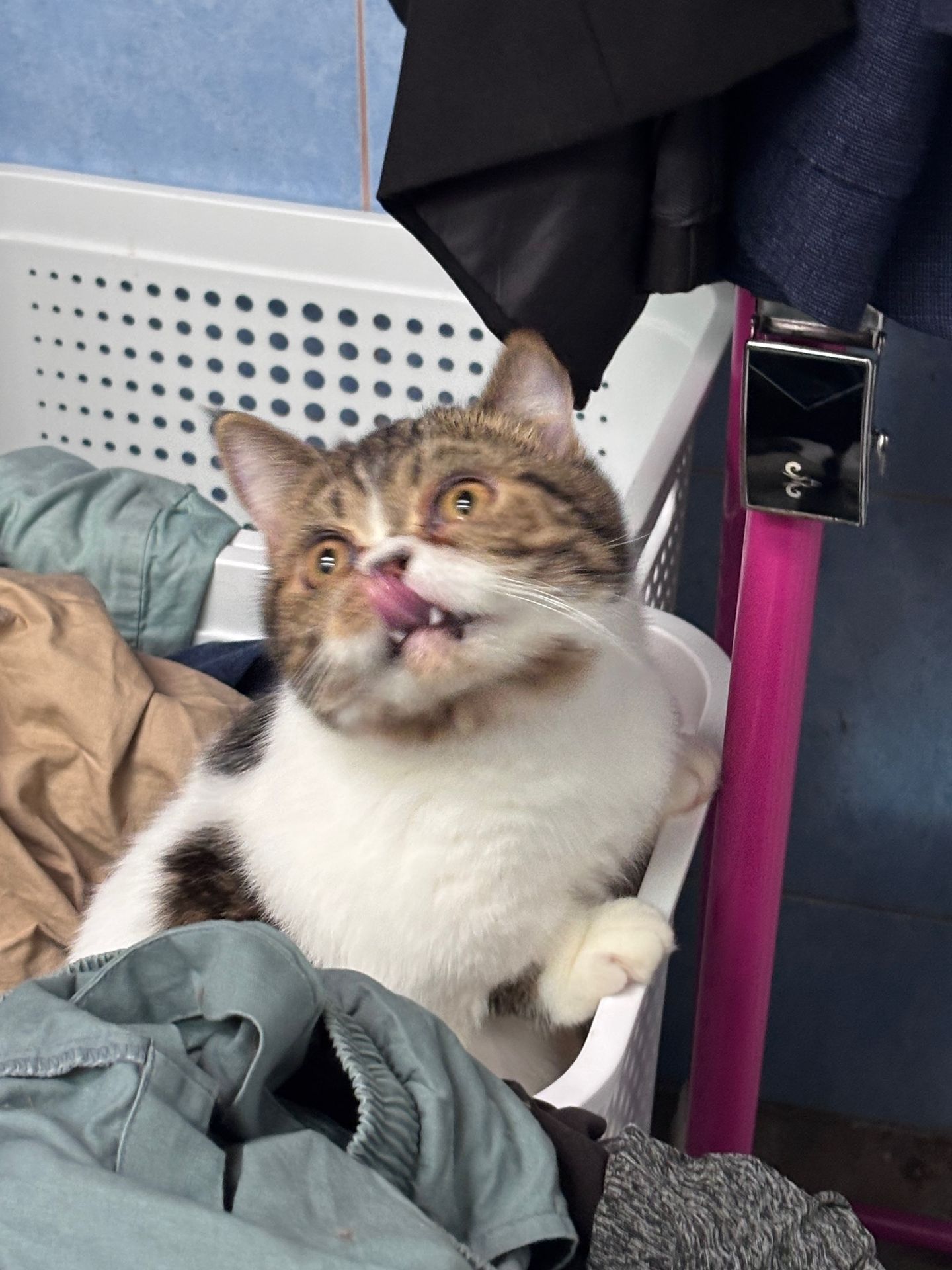 ก้อนเมฆ