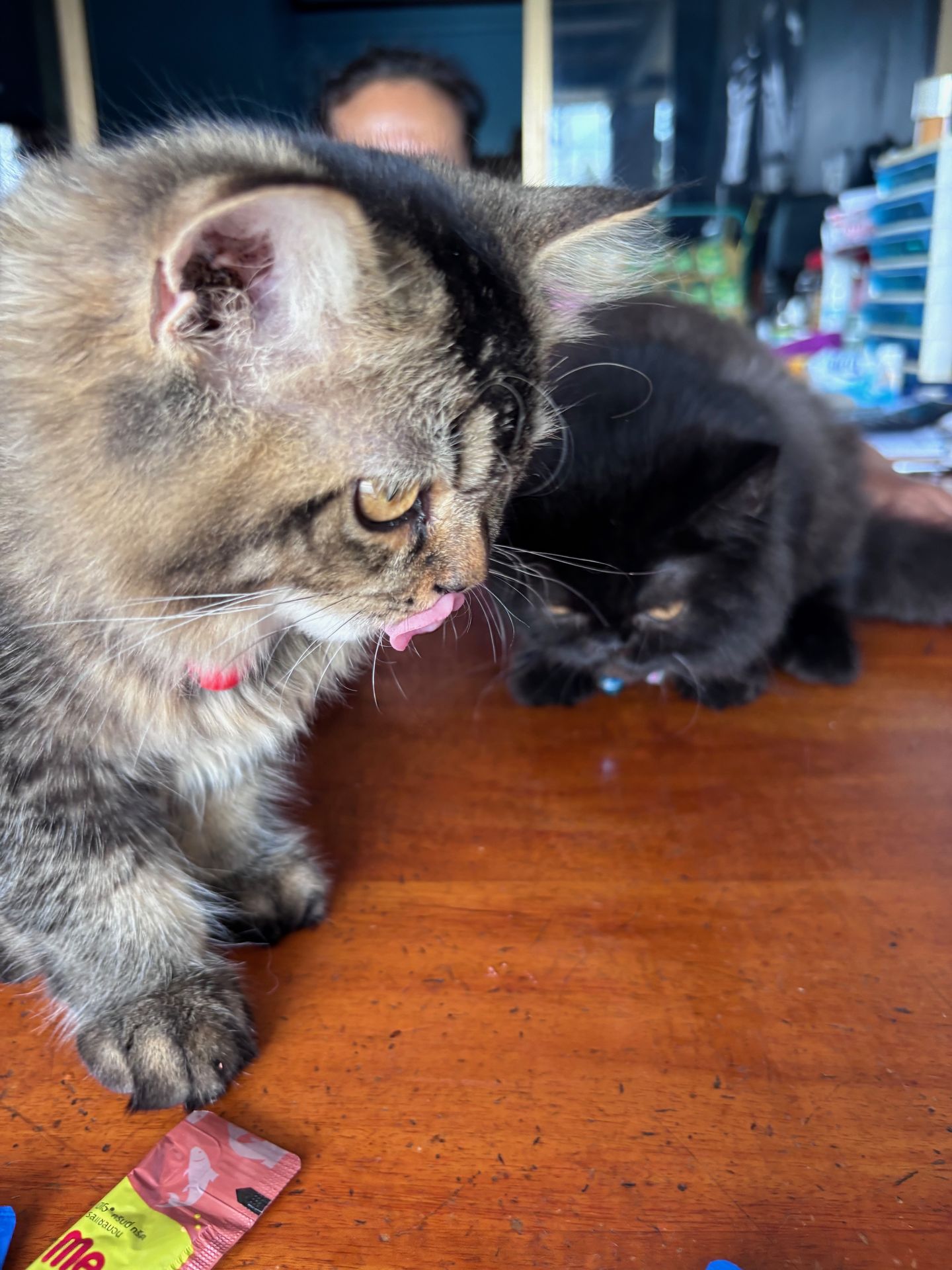 ช็อคโก้